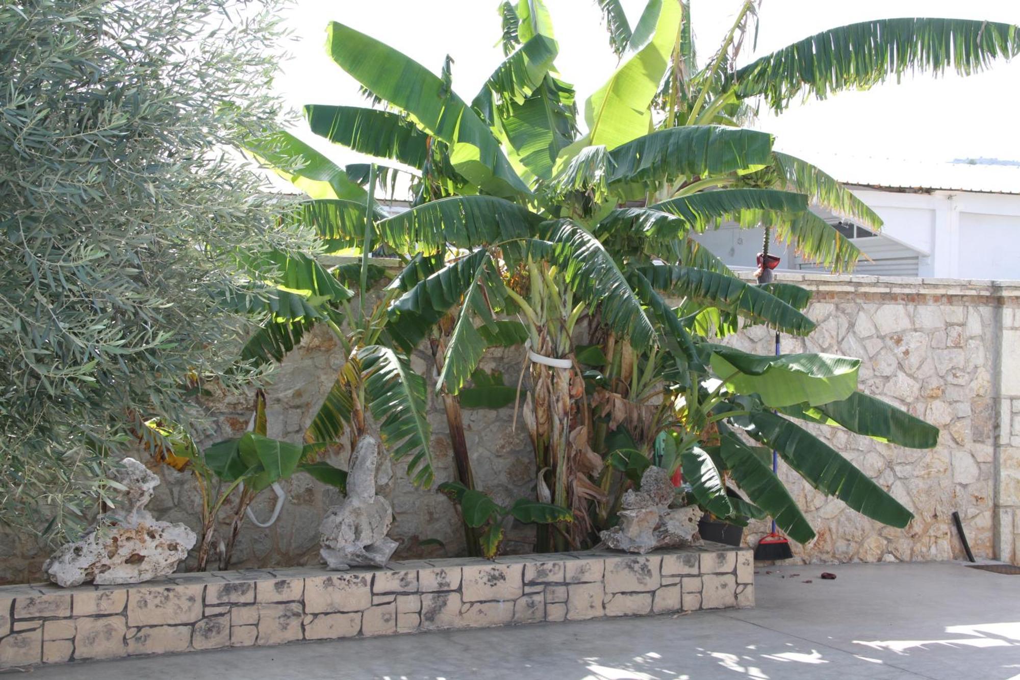 Αριων Village & Suites Nauplia Esterno foto